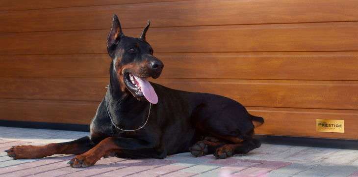 Prestige - Effektív hőszigetelés