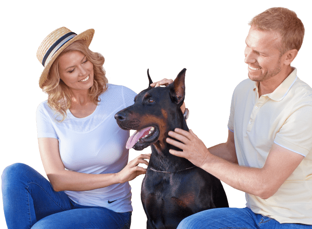 Prestige garázskapuk igényeseknek